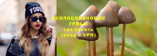 стаф Алзамай