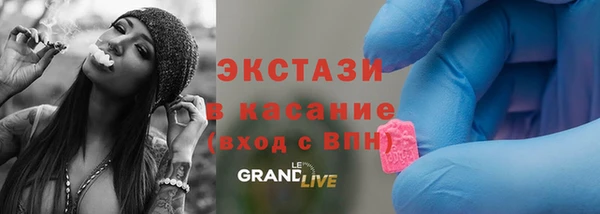стаф Алзамай