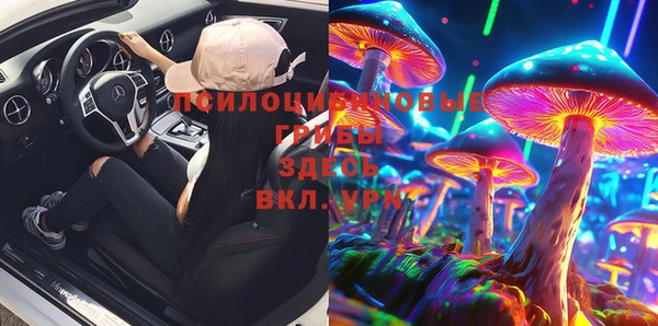 шишки Алексеевка