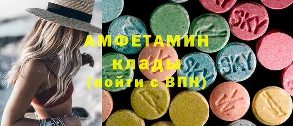 стаф Алзамай