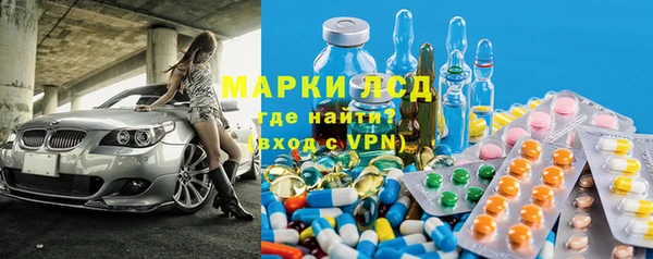 стаф Алзамай