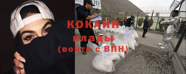 стаф Алзамай