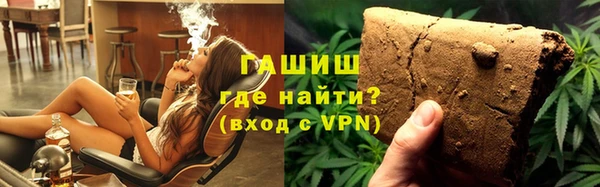 стаф Алзамай