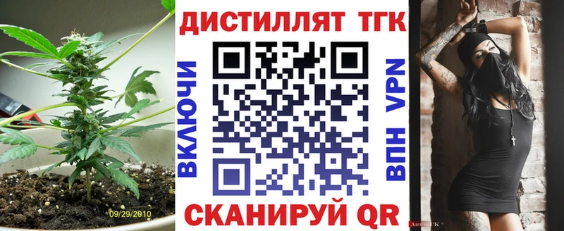 ТГК вейп с тгк  купить  цена  Благодарный 