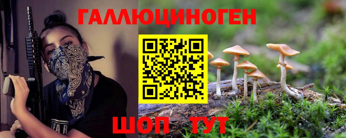 Галлюциногенные грибы прущие грибы Благодарный
