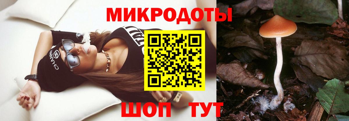 Благодарный  Псилоцибиновые грибы Psilocybine cubensis  Вход с VPN  Галлюциногенные грибы Magic Shrooms 