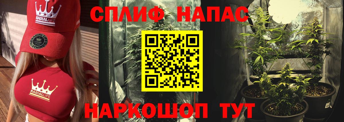 Каннабис SATIVA & INDICA  Бошки Шишки VHQ  Благодарный  Шишки марихуана семена  Шишки марихуана марихуана  Вход с VPN 